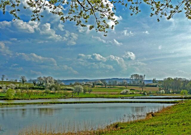 Die Fischteiche im Ettenheimer Filmersbachtal, sind jetzt im Frühjahr, schöne Standpunkte für Naturaufnahmen. | Foto: Alfred Schramm