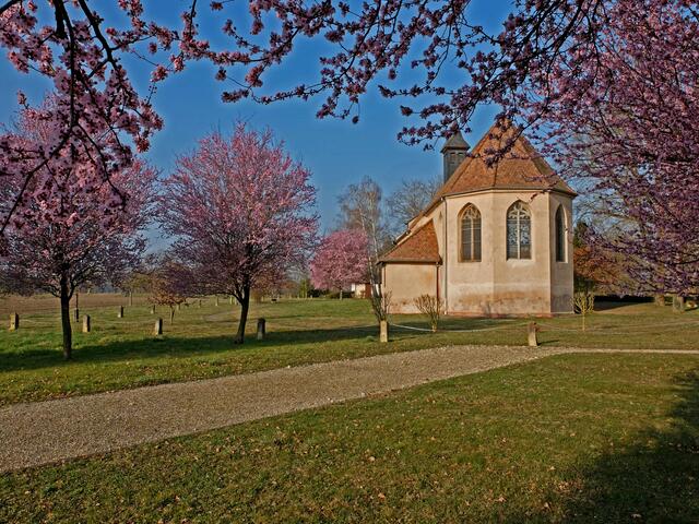 Die Chapelle Notre-Dame du Chêne, ist eine römisch-katholische Kirche. Sie liegt südlich der elsässischen Gemeinde Plobsheim am Rhein-Rhône-Kanal.  | Foto: Alfred Schramm