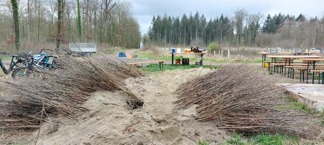 Foto: Gemeinde Ringsheim