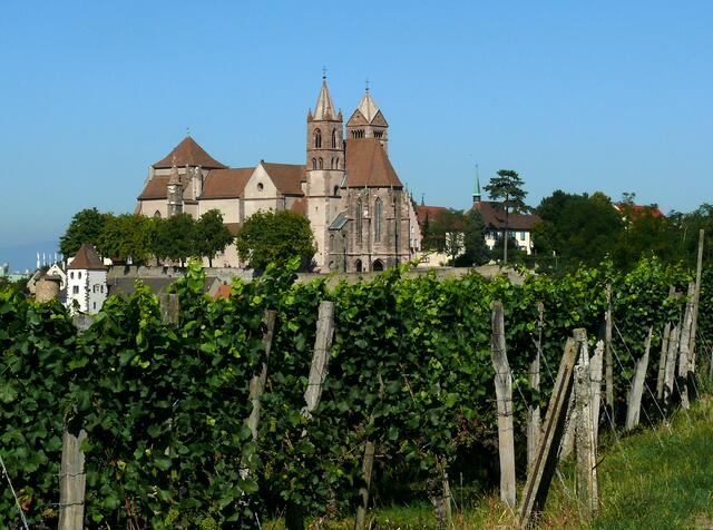 Blick zum Breisacher Münster St. Stephan, vom Eckartsberg aus. Dessen Bauzeit war ging angeblich von 1185 bis 1230. | Foto: Alfred Schramm