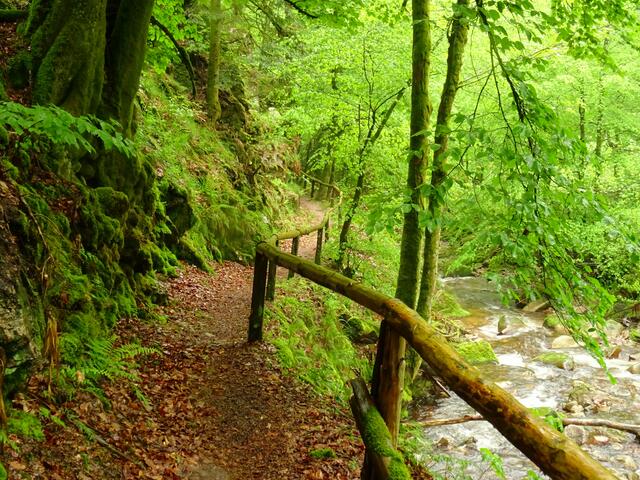 Entlang dem Lierbach