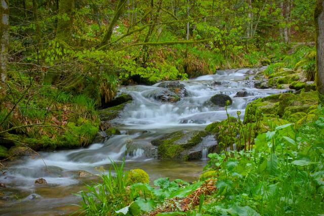 zwischen Klosterruine und Wasserfällen