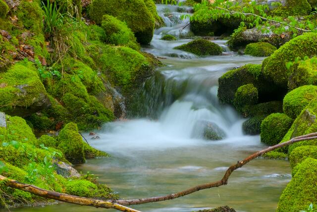 kleiner Bach, der in den Lierbach mündet
