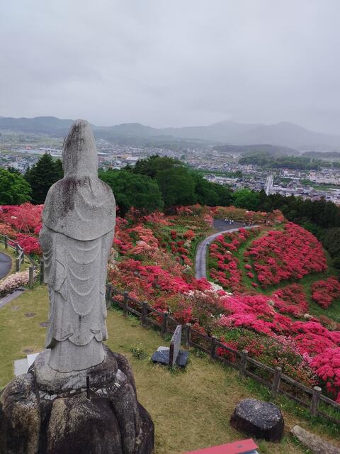 Azaleenpark in der Region Ibaraki | Foto: Stadt Lahr