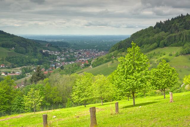 Blick Richtung Kappelrodeck