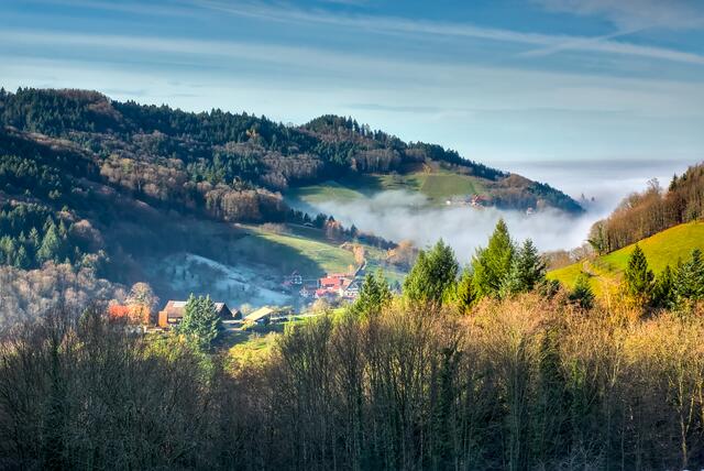 Blick Richtung Kappelrodeck