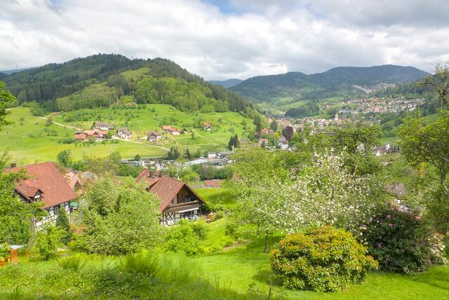 Ottenhöfen