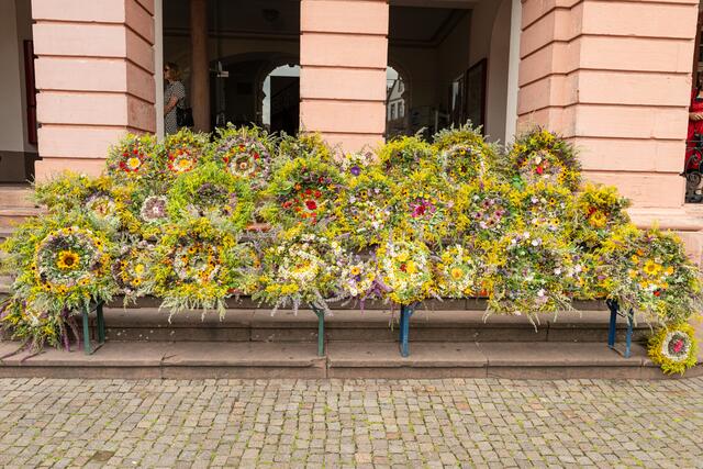 Für die Prämierung der Kräuterbüschel werden diese vor dem Rathaus ausgestellt. | Foto: Stadt Gengenbach/Manuela Seiler