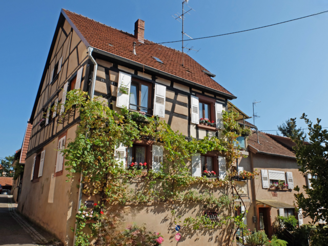 Ein weiteres mit Weintrauben an der Fassade, bewachsenen Winzerhaus von 1734, präsentiert sich in den Gassen von Oberbronn.  | Foto: Alfred Schramm
