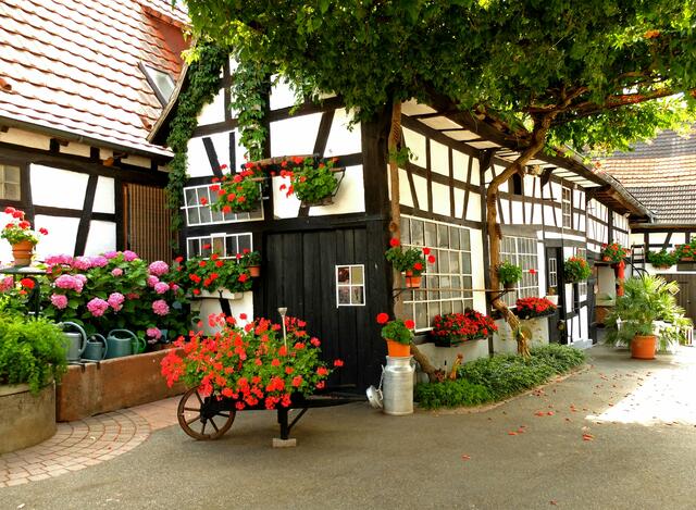Fachwerk-Idyll in einem Hof von Seebach, das eines der schönsten Dörfer in  im Nordelsass ist. | Foto: Alfred Schramm