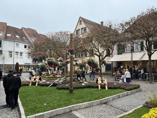 Ein Beet von badischen und elsässischen Gärtnern | Foto: gro