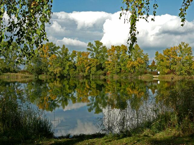 Ein schöner Flecken zum Fotografieren ist der See am "Wacholderrain" bei Neuried-Altenheim. Leider wird er wieder als Baggersee genutzt. | Foto: Alfred Schramm