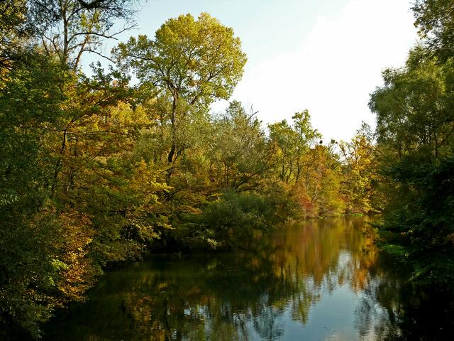 Die Wälder in den Rheinauen sind für Landschaftsbilder stets ein idealer Platz. | Foto: Alfred Schramm