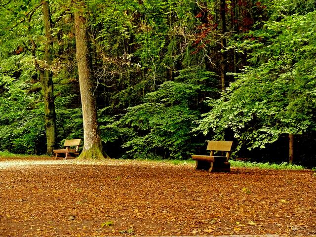 Zwei Bänke, die zum Ausruhen nach einer anstrengenden Fototour geradezu zum Platznehmen geeignet sind. | Foto: Alfred Schramm