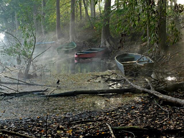 Einsam liegen sie da im Nebeldunst. Ob die noch von Angelfreunden genutzt werden? | Foto: Alfred Schramm