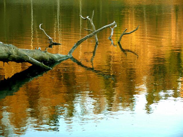 Da liegt er nun seit Jahren im See, mal mehr oder weniger, je nach Wasserstand sichtbar.  | Foto: Alfred Schramm