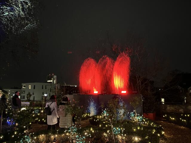 Licht- und Wasserspiele im Vinzentiuspark | Foto: gro