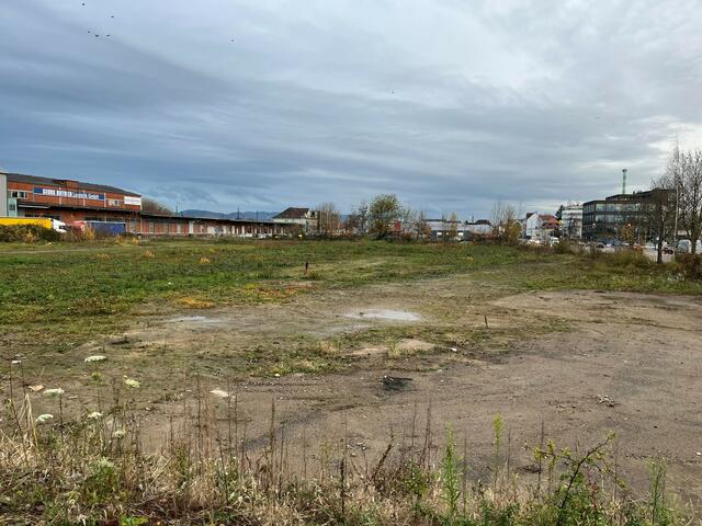 Das Grundstück der Grossmann-Group von der Bundespolizeiinspektion aus gesehen.  | Foto: mak