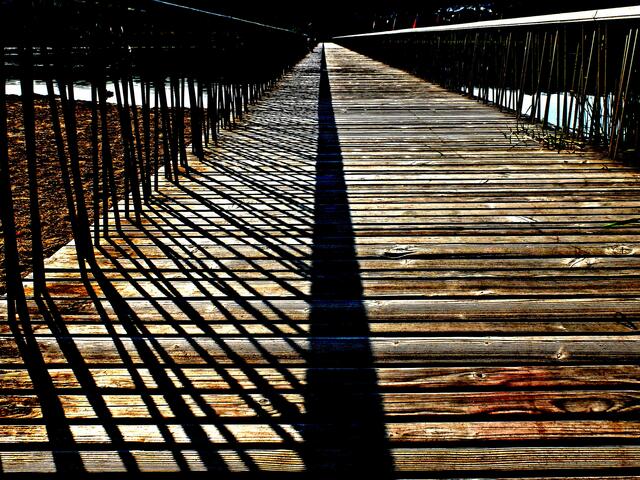 Licht und Schatten auf dem Seeparksteg im Landschaftpark Lahr. | Foto: Alfred Schramm