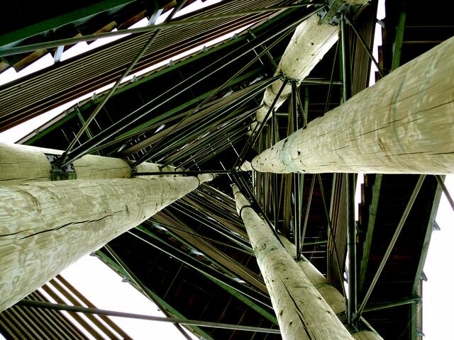 Der Blick nach oben. Der Weißtannenturm von unten betrachtet. | Foto: Alfred Schramm