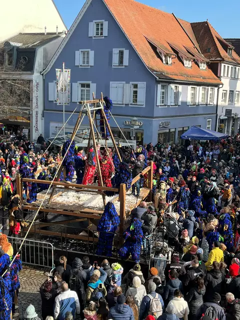 Kein Pardon für Landrat Thorsten Erny beim Hängen und Fleddern der Krabbenaze | Foto: ag