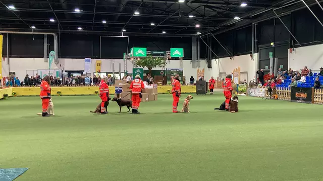 Die Rettungshundestaffel ist ein gern gesehener Gast bei der Internationalen Ortenau-Schau in der Messe Offenburg. | Foto: mak