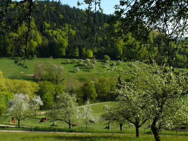 Blick ins Hüttersbacher Tal.  | Foto: Alfred Schramm