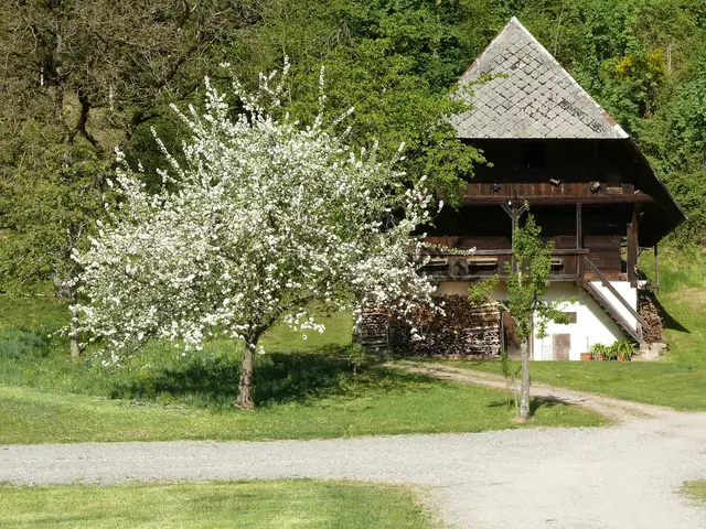 Ein altes Speichergebäude, von denen es im Einbachtal bei Hausach
noch einige zu sehen sind.   | Foto: Alfred Schramm
