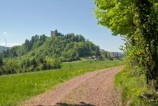 Blick zur Ruine Hohengeroldseck