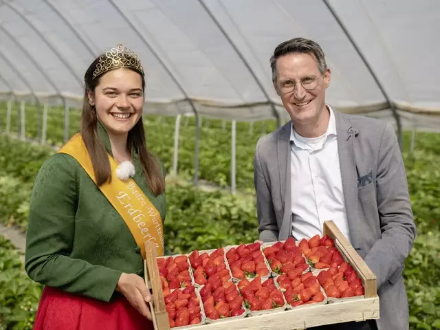 Erdbeerkönigin Magdalena Ziegler und Peter Ehleiter, Geschäftsbereichsleiter Einkauf EDEKA Südwest, beim offiziellen Start der Erdbeersaison in Oberkirch-Stadelhofen. | Foto: Foto: Maximilian Leist