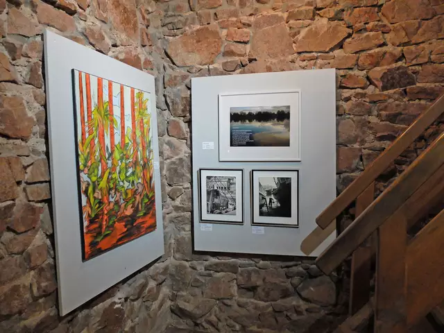 Hier sieht man 3 Fotos von Claudia Lehman und Gemäde von Renate Mattis. | Foto: Alfred Schramm