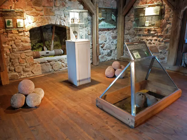 Der Eingangsbereich der Torhalle wurde durch ein Fallgitter geschützt. In der 1. Etage sieht man den sogenannten „Totschläger“ eine Öffnung, durch die die Männer der Turmbesatzung Sandsteinkugeln, wie sie im Raum zu sehen sind, auf den eindringenden Feind geworfen haben.

Zerschellten diese Kugeln, hatten diese eine Splitterwirkung. Weiterhin sieht man die Umlenkwalze des Fallgitters sowie das Modell eines solchen.  | Foto: Alfred Schramm