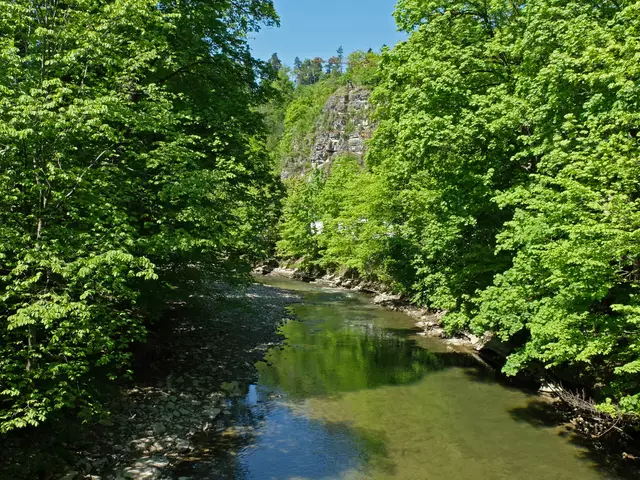 Der Blick ins felsige Neckartal. | Foto: Alfred Schramm