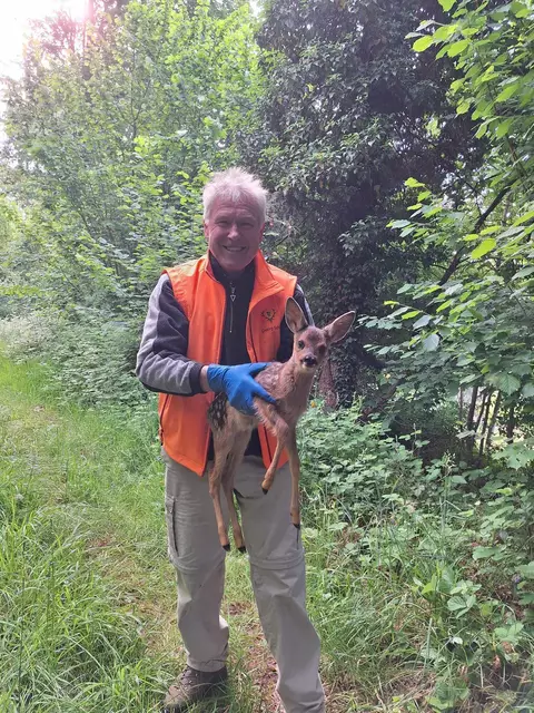 Georg Schilli von der Kitzrettung Ortenau mit einem geretteten Kitz | Foto: privat