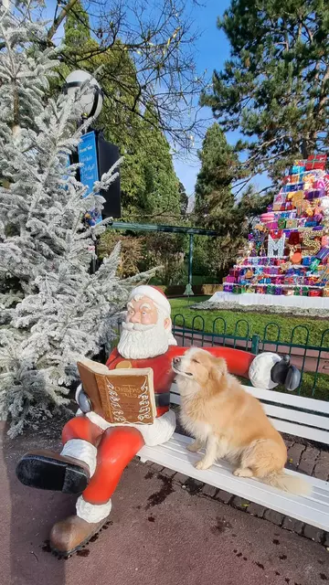 Foto: Eingereicht von Ilona Kühnel