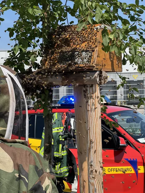 Foto: Feuerwehr Offenburg
