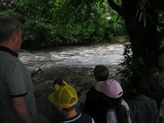 Gebannt schauen die Kinder auf das fließende Gewässer.  | Foto: Stadt Achern