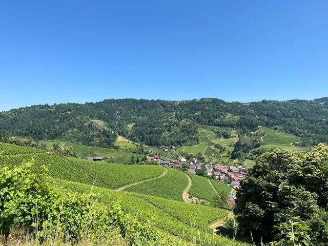 Die Bürger Oberkirch entscheiden am 20. Juli, ob auf der Schwend Windkraftanlagen errichtet werden dürfen. | Foto: ag