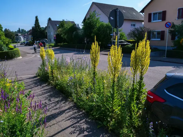 Foto: Wolfgang Hoffmann 