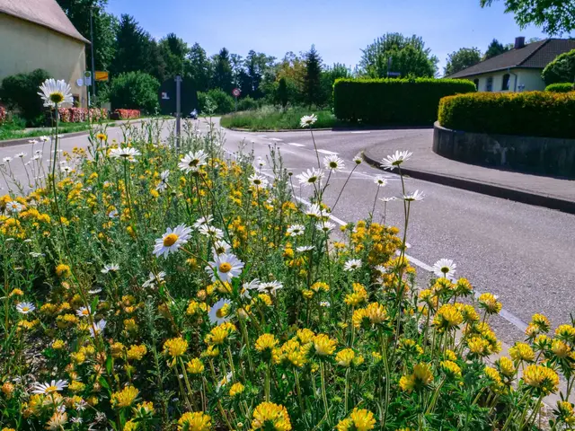 Die botanischen Helden trotzen der Hitze. | Foto: Wolfgang Hoffmann 