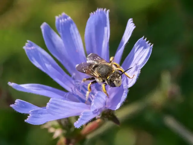 Foto: Wolfgang Hoffmann 