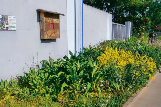 Foto: Wolfgang Hoffmann 