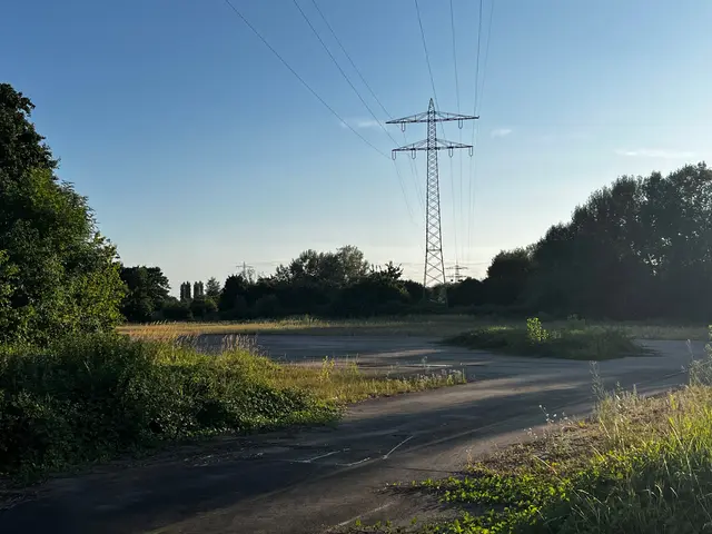 Dieses Areal in Lahr wird als möglicher Standort für eine etwaige Erstaufnahmeeinrichtung für Flüchtlinge geprüft. | Foto: Lea Wölfle