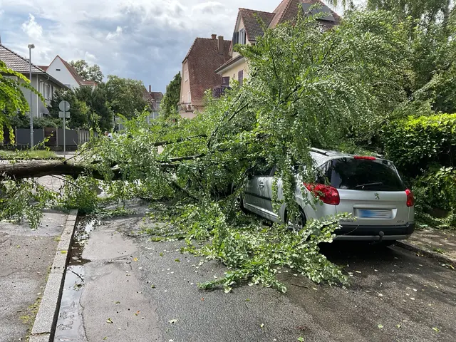 In der Gudrun- und Siegfriedstraße stürzte ein Baum auf ein Auto. | Foto: Stadt Kehl