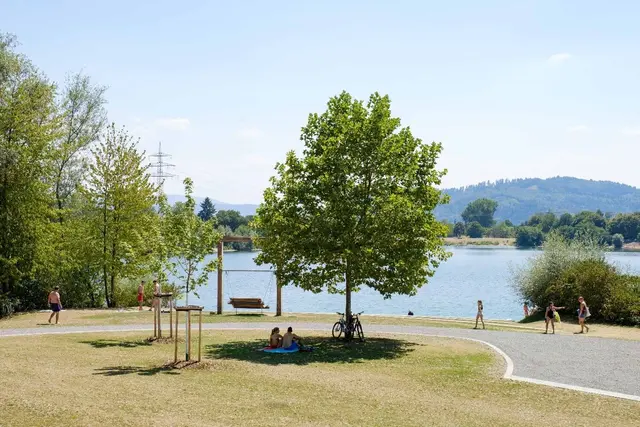 Die Gifiz-Halbinsel | Foto: N. Benner/Stadt Offenburg