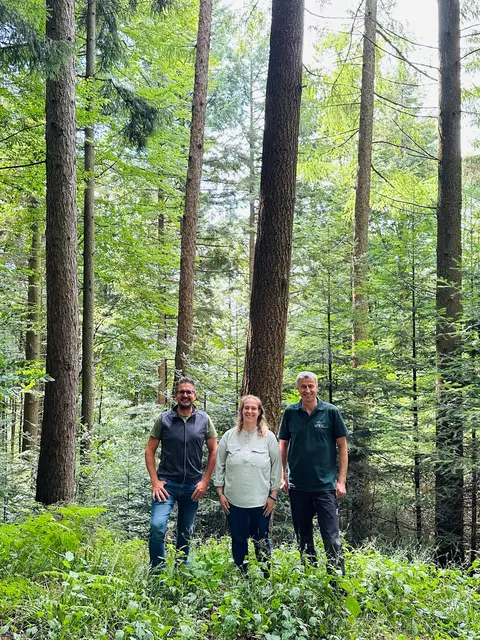 Bürgermeister Stefan Hattenbach, Annika Knapp (Rechnungsamt der Gemeinde, zuständig für Forst) und Revierleiter Theo Blaich auf den neuen Waldflächen der Gemeinde | Foto: Jasmin Liebich/Gemeinde Kappelrodeck