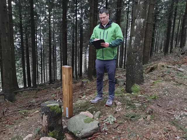 Besuchermonitoring im Nationalpark Schwarzwald | Foto: Franziska Lemoine/Nationalpark Schwarzwald