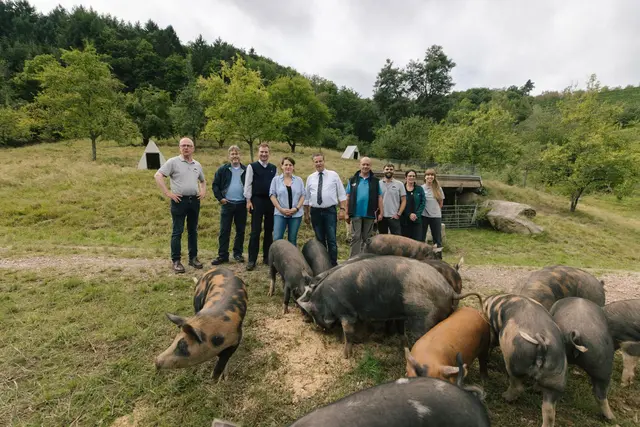 Bei der Hofführung schauten die Gäste auch bei den artgerecht auf Streuobstwiesen und im Wald gehaltenen Schweinen des Hofguts Silva in Oberkirch vorbei: der Naturpark-Geschäftsführer Karl-Heinz Dunker, der Naturpark-Vorsitzende und Landrat des Landkreises Rastatt Prof. Dr. Christian Dusch, der Erste Landesbeamte des Ortenaukreises Dr. Nikolas Stoermer, Judith Wohlfarth vom Hofgut Silva, Landwirtschaftsminister Peter Hauk, der Amtsleiter des Ortenaukreises Arno Zürcher, Naturpark-Agroforst-Projektmanager Niklas Kullik, Naturpark-Fachbereichsleiterin Regionalvermarktung Christina Cammerer und Naturpark-Fachbereichsleiterin Klimaschutz und -anpassung Helena Böddeker (v. l.).  | Foto: Johannes Nickel/Naturpark Schwarzwald Mitte/Nord e. V.