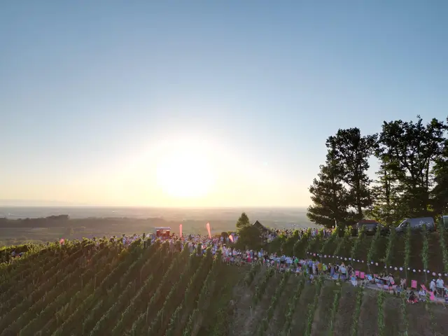 Foto: Durbacher Winzer eG