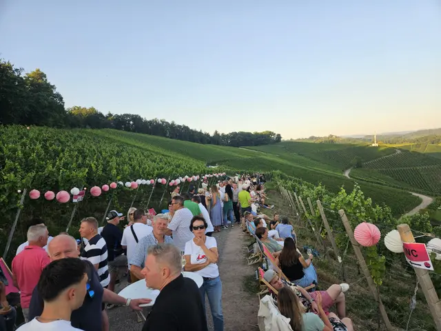 Foto: Durbacher Winzer eG